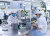 电子工业确立拳头产业地位，对出口作出重大贡献