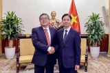 越中加强外交工作经验交流