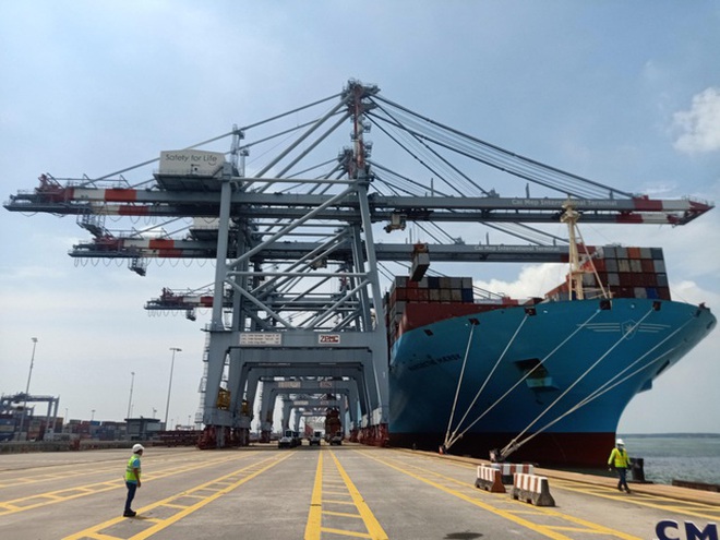 Nhiều tập đoàn hàng đầu thế giới đổ tiền kinh doanh cảng biển Việt Nam