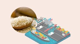 互动图表：2023年前6月越南大米出口额约达23亿美元