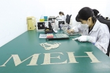 Từ thu hút FDI đến kiến tạo động lực tăng trưởng hai con số