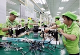越南设目标：2030年本土化率40-50%，一万越企参与外企供应链
