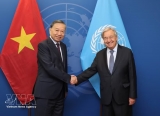 越共中央总书记、国家主席苏林会见联合国秘书长古特雷斯